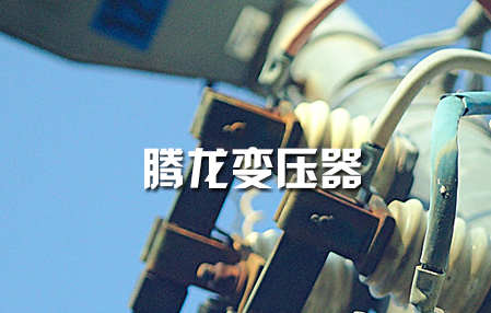 內蒙古騰龍變壓器有限責任公司