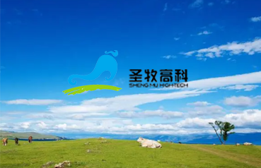 內(nèi)蒙古網(wǎng)站優(yōu)化,圣牧高科