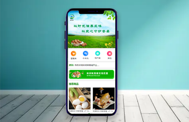 內(nèi)蒙古網(wǎng)站優(yōu)化,林間味