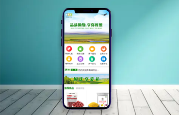 內(nèi)蒙古網(wǎng)站優(yōu)化,內(nèi)蒙古蒙禮供應(yīng)鏈管理有限公司
